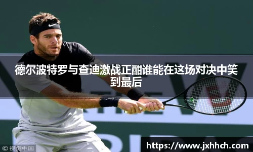 德尔波特罗与查迪激战正酣谁能在这场对决中笑到最后